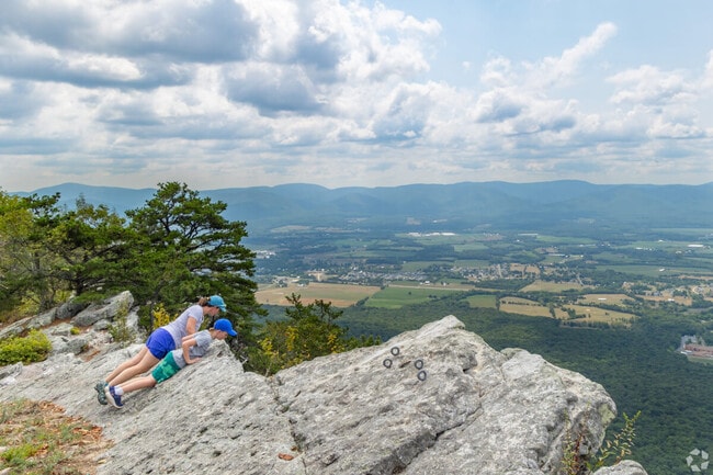 Vast swathes of nature aren't far from Harrisonburg.
