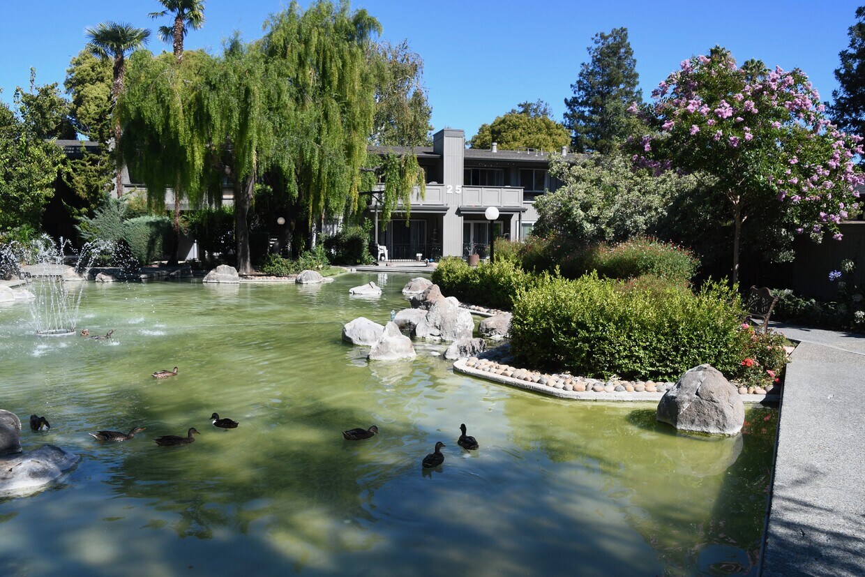 Foto principal - 120 Saratoga Ave