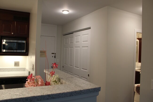View of Entry from LR - 1255 N Sandburg Terrace