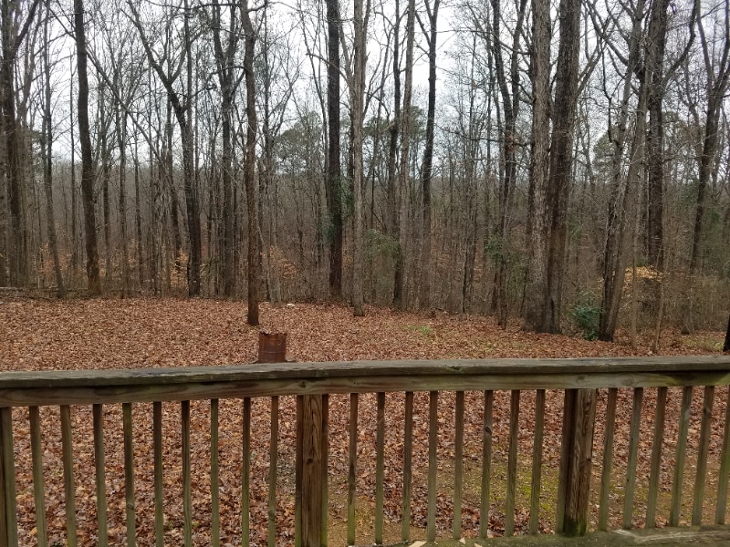Primary Photo - 6108 Briarwood Dr
