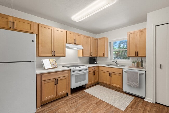 Building Photo - Regency Palms Apartments