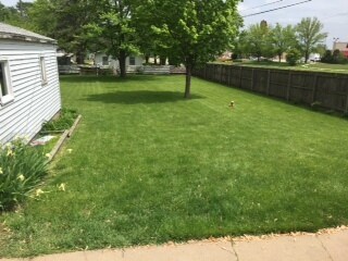 backyard - 309 10th Ave