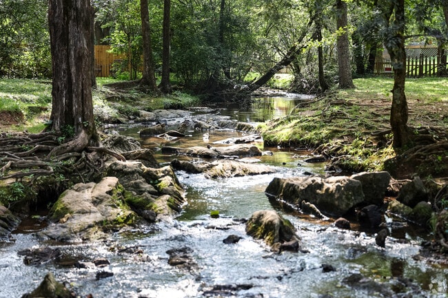 Turkey Creek gently flows through the center of Founders Park at Campbell Station.