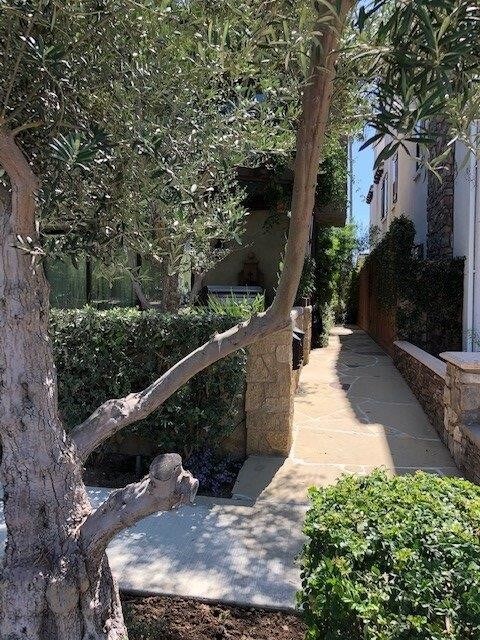 Front Walkway - 220 Geneva Ave