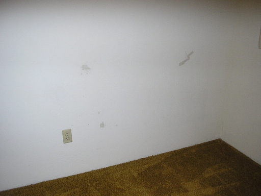 Building Photo - 1087 Rice Creek Rd