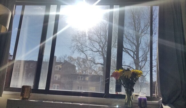 Direct Sunlight for Most of the Day - 5410 Connecticut Ave NW