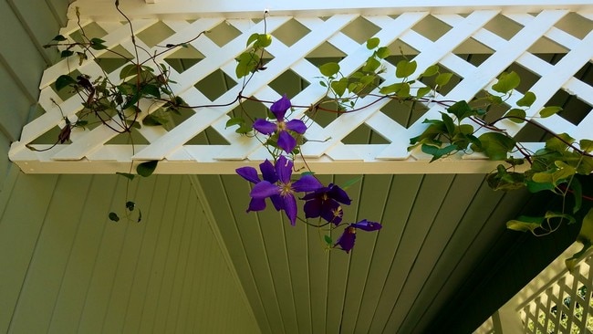 Front Porch - 373 Meadow Rd