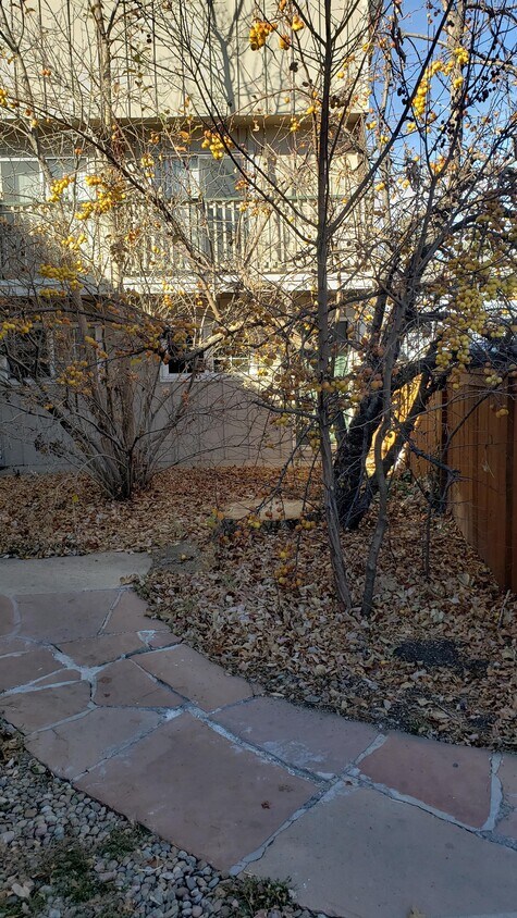Primary Photo - 1609 Cottonwood Dr