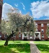 1 CAMA-UN BAÑO Cerca de tránsito y silencioso - 175 Union Ave