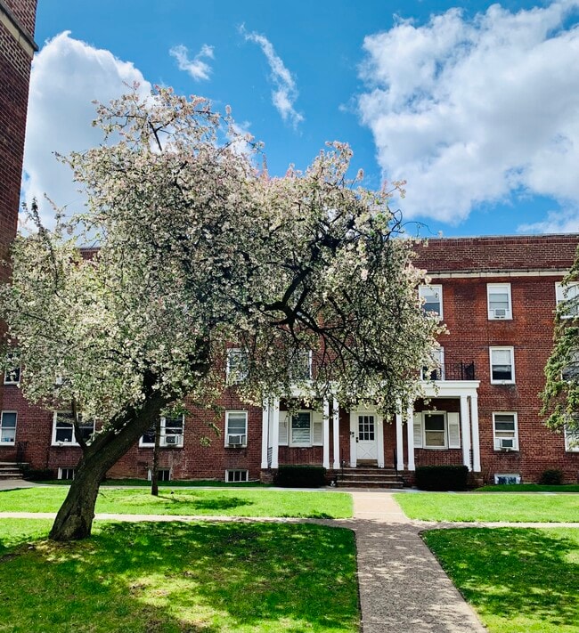 1 BED 1 BATH Close to transit and quiet - 175 Union Ave Apartments