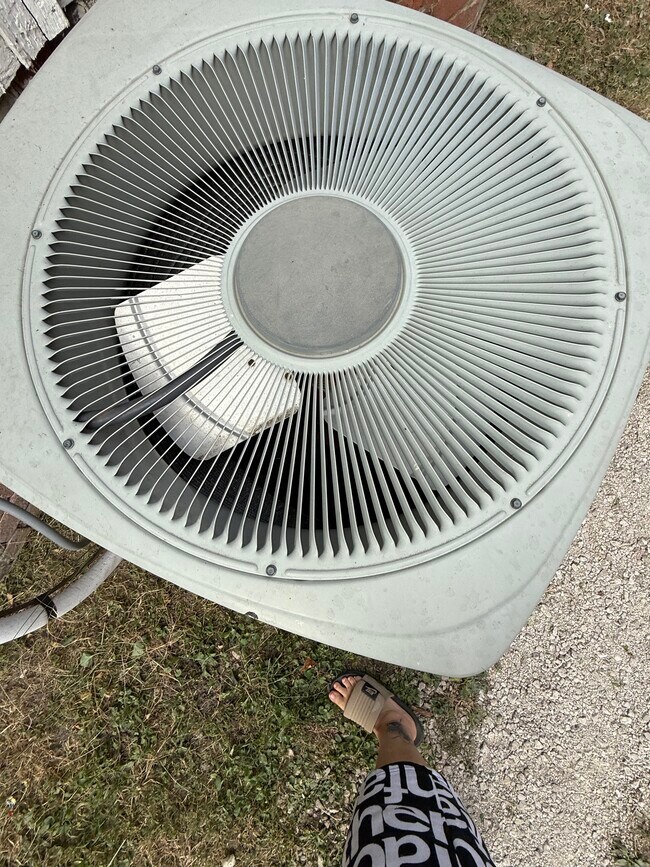 Foto del edificio - 1347 E Prairie Ave