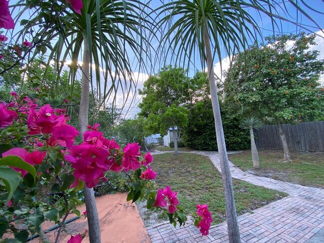 Foto del edificio - 2/2 single family house with big yard near downtown and beach!