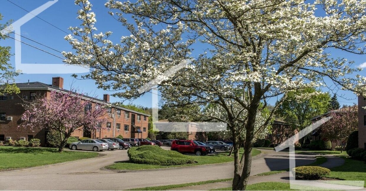 Building Photo - 2bed with living room apartment in Newton Auburndale now available