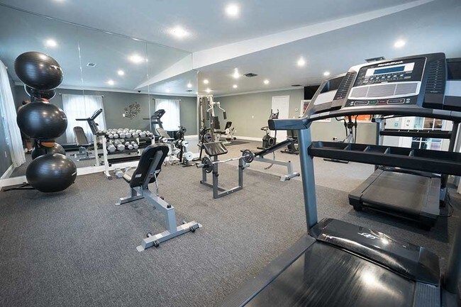 university of tampa gym