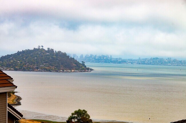 Foto del edificio - Stunning View Home in Tiburon