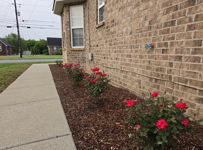 Building Photo - 1315 Auldridge Dr