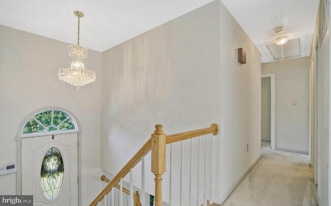 Foto del edificio - 11208 Mary Catherine Dr