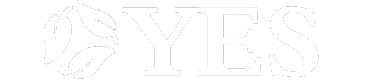 Yes Management Services, LLC