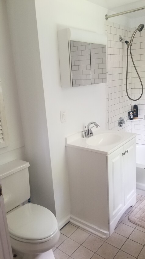 Newly remodled bathroom - 164 Center St