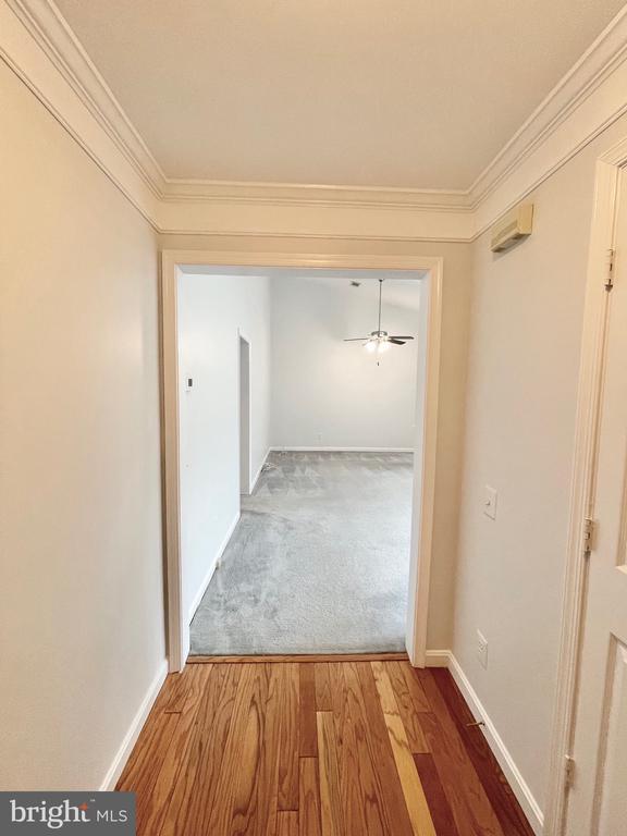 Building Photo - 2800 Emma Lee St