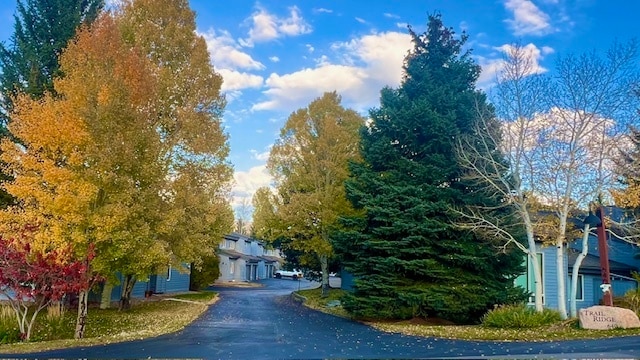 Trailridge Entrance - 640 Homestead Dr