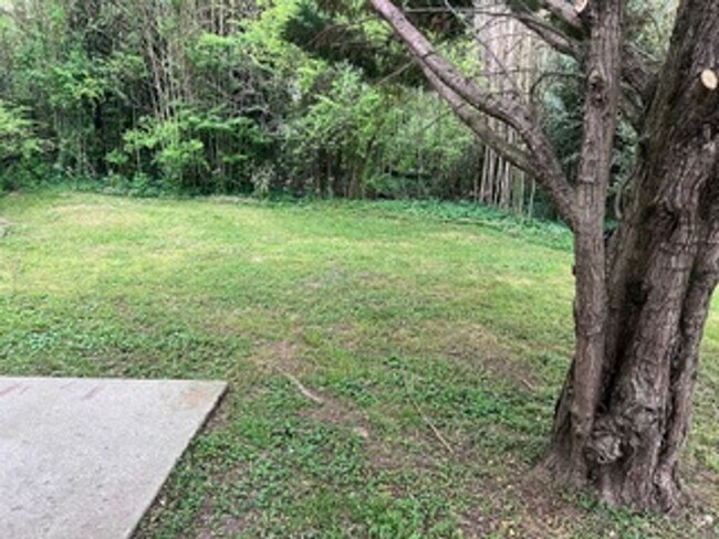 Building Photo - Oak Ridge 37830 - 2 bedroom, 2 bath townho...
