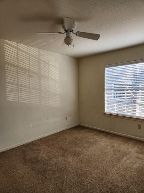 Foto del edificio - 1306 Mabry Mill Rd