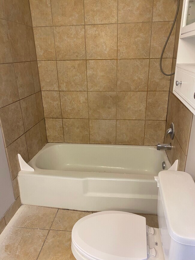 En-suite master bath shower/tub - 1745 Robin Walk
