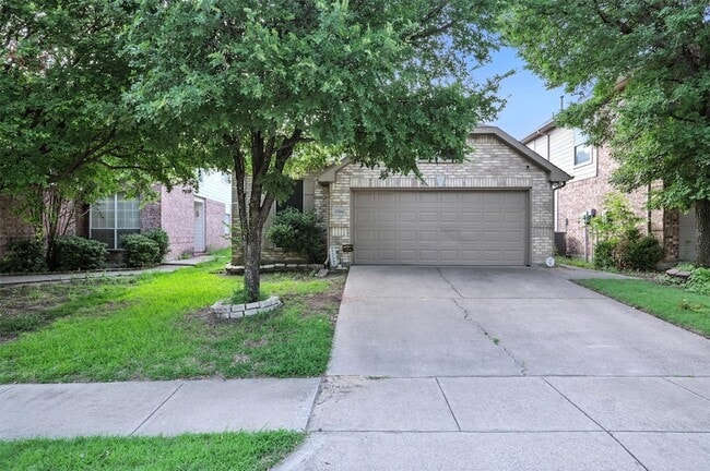 Photo - 11744 Ficus Dr House