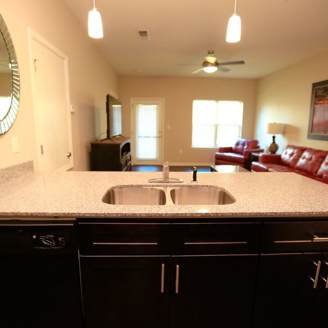 The Element Apartments Rentals Camden, AR