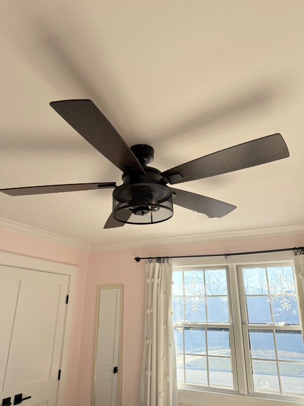 Foto del edificio - 83 Annandale Rd