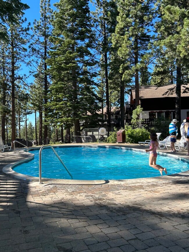Building Photo - LAKE VIEW! South Lake Tahoe Rental