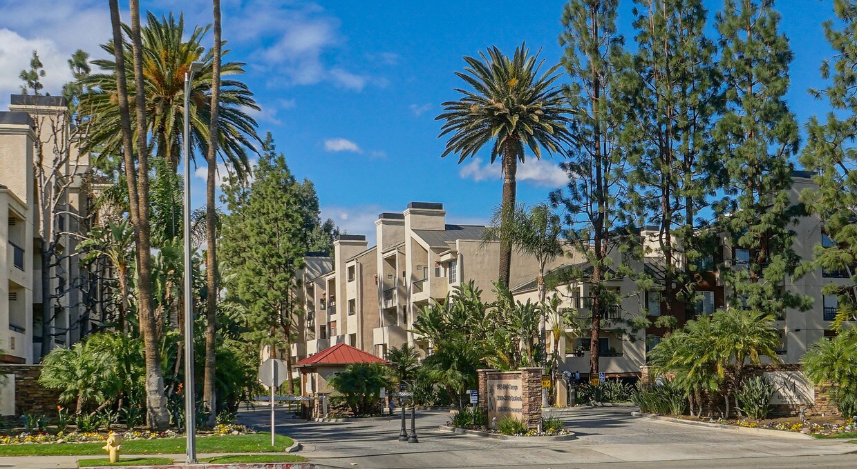 Primary Photo - 21550 Burbank Blvd