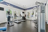 Located at 39415 Ardenwood Way in Lake Elsinore, California, this fitness center offers a well-appointed single-room exercise space designed to support a full range of workout routines. The room features a crisp, clean aesthetic defined by white crown molding, bold blue accent walls near the ceiling, and durable rubber flooring suited for high-traffic use. Multiple ceiling fans keep the space comfortable during workouts, while recessed lighting provides consistent illumination throughout.

Natural light flows generously through multiple large windows fitted with white blinds, offering views of lush outdoor greenery and palm trees. The cardio zone is equipped with multiple treadmills and an elliptical machine, each featuring individual monitors for entertainment. A cable strength machine and weight bench serve the strength training area, while a tiered dumbbell rack provides a full range of free weights. Stability and flexibility training is supported by an assortment of exercise balls in various sizes, resistance bands, medicine balls, and yoga mats conveniently stored on a dedicated rack.

Wall-mounted televisions add to the functionality of the space, and the charming Dutch-style door provides direct access to the outdoors. The overall atmosphere is bright, open, and inviting, making this fitness center a practical and motivating environment for residents seeking convenient on-site exercise amenities.