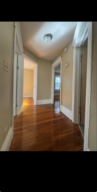 Building Photo - 42 Curtis St