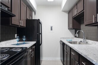 1BR, 1BA - 731SF - The Paramount