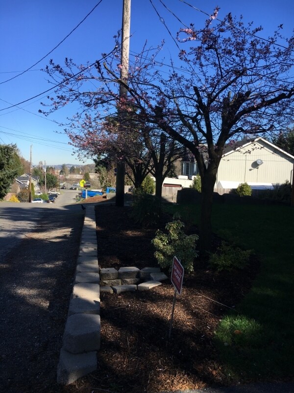 Foto del edificio - 6368 23rd Ave SW