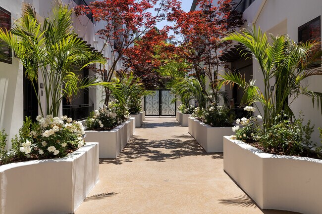 Foto del edificio - Vista Paradiso