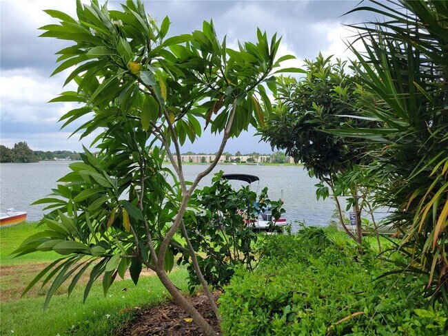 Foto del edificio - 574 Orange Dr