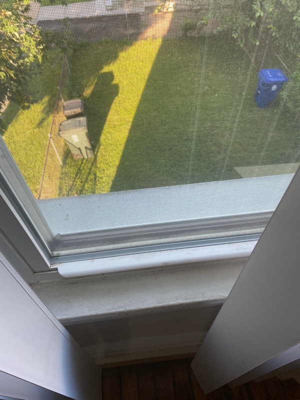 Foto del edificio - 3120 Windsor Ave