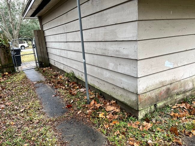 Old Back Yard Right Side - 301 Cypress St