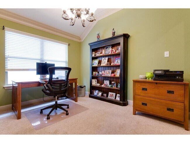 Building Photo - 8209 Olympia Dr