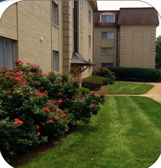 Versailles Apartments