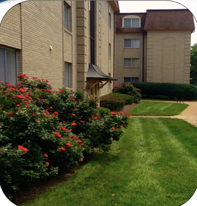 Foto del interior - Versailles Apartments