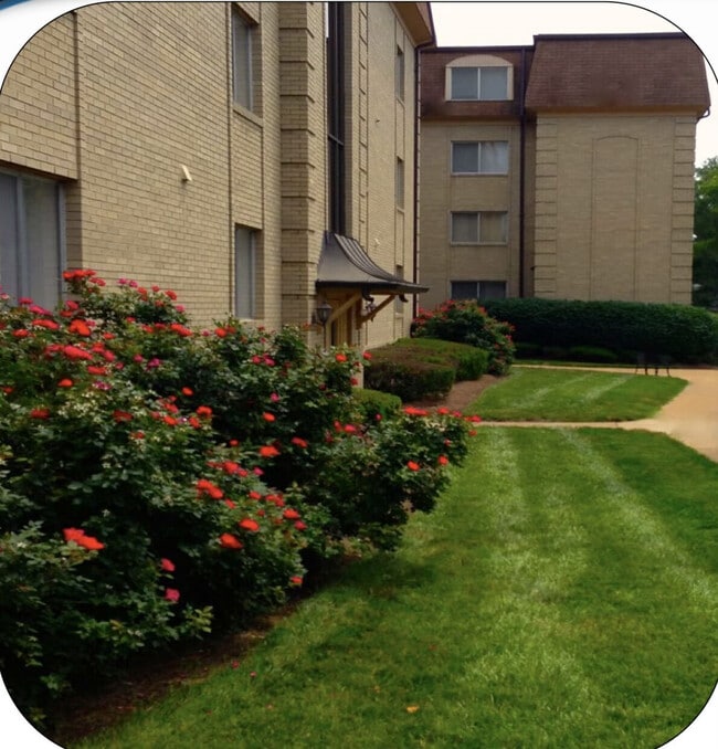 Interior Photo - Versailles Apartments