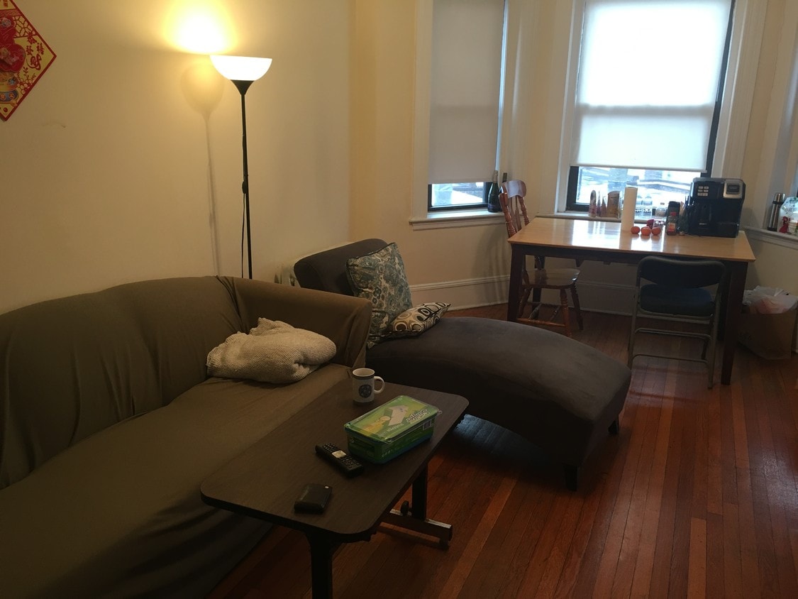 Living Room - 1127 Commonwealth Avenue