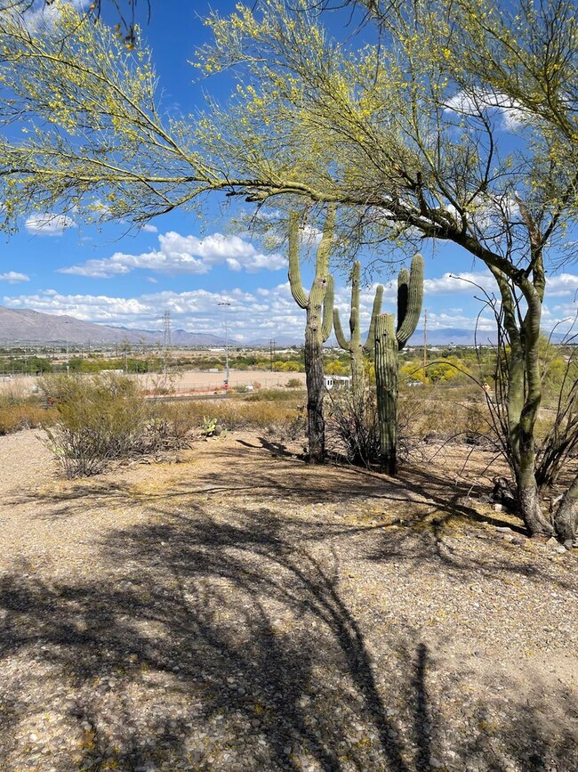 Building Photo - Lovely 3 Bedroom House with Stunning Mount...