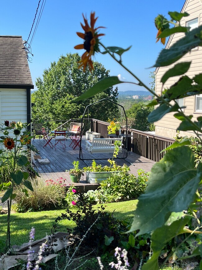 Foto del edificio - 3803 Lookout Dr