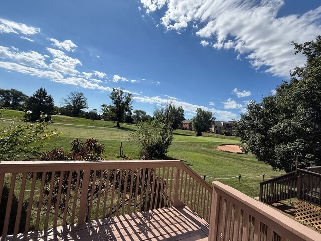 View from the deck - 69 Walker Rd