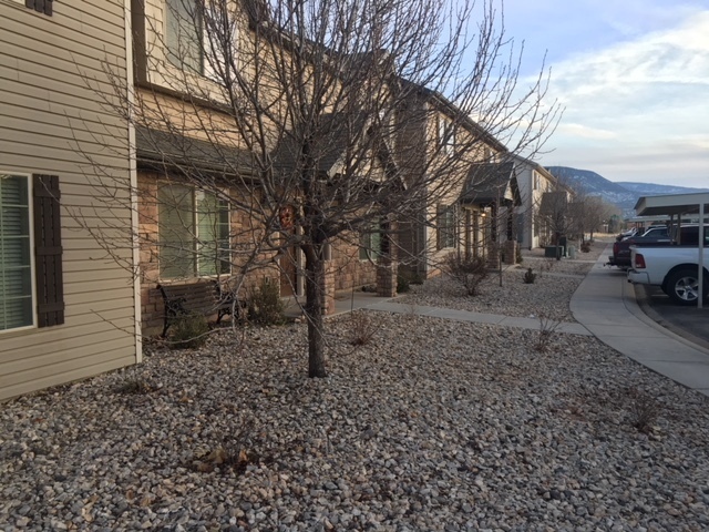 Building Photo - Stunning Cedar Townhome